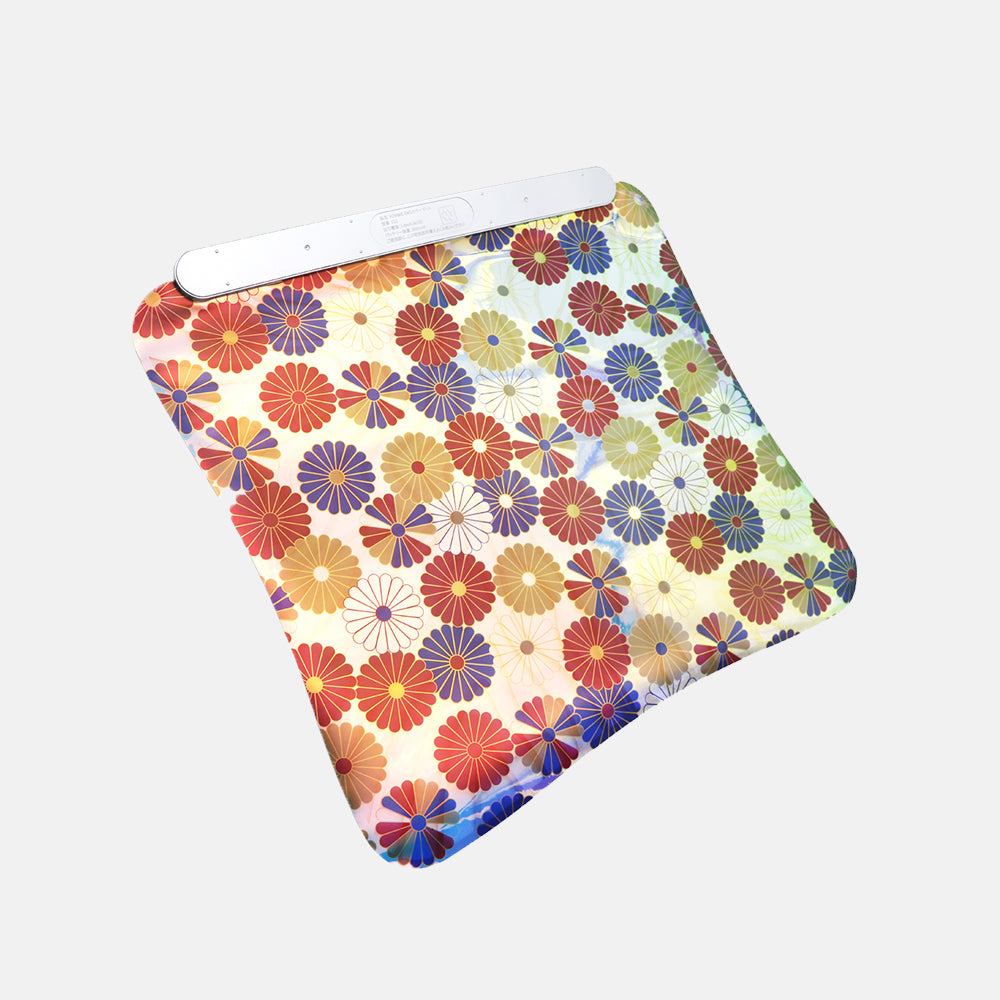 EMS Colorful Foot Massage Mat